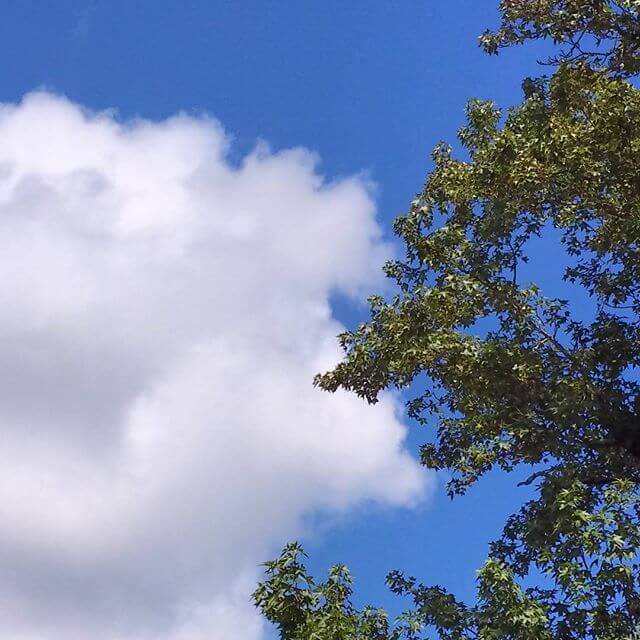 Blue skies…